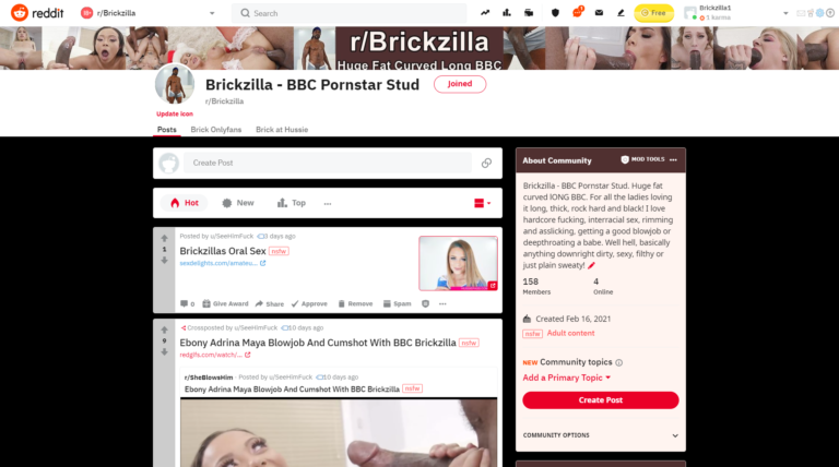 Brickzilla – BBC Reddit